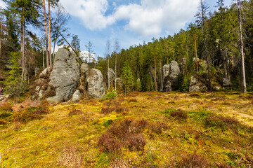 A marshy clearing with rock formations. Reserve Adrspach-Teplice Rocks. Bohemia region, Czech Republic © krysek