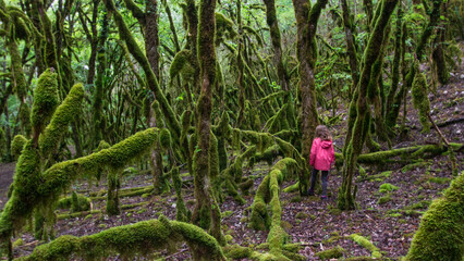 petite fille vêtue en rouge perdue au milieu d'une forêt inquiétante, mousse, humide, petit chaperon rouge,