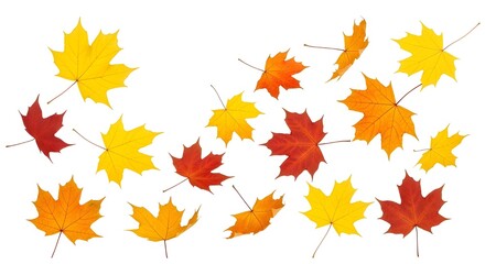 autumn leaves background