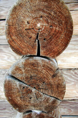 Cut of two logs in the structure of a wooden house in a Russian village