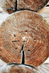 Log cut in the structure of a wooden house in a Russian village