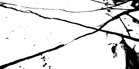Abstract black lines on a transparent background, resembling cracks or branches, creating a stark and graphic visual texture