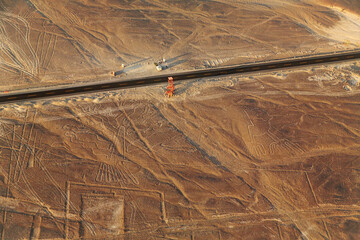 El &Aacute;rbol y el Sapo, L&iacute;neas de Nazca desde el aire, Per&uacute;
