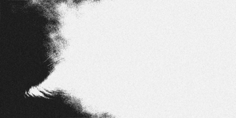 Abstract textured black and white pattern, resembling sand or dust, with a gradual transition from dark to light, isolated on a transparent background, suitable for backgrounds and overlays