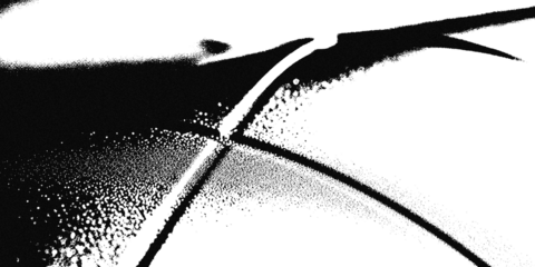 Closeup abstract black and white image showing organic curves and textured detail, suggesting natural forms or flowing lines isolated on transparent background