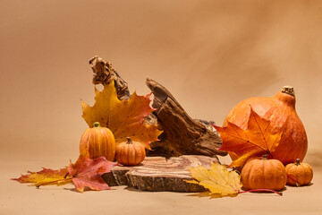 Autumn podium. A rustic autumn still life with pumpkins,