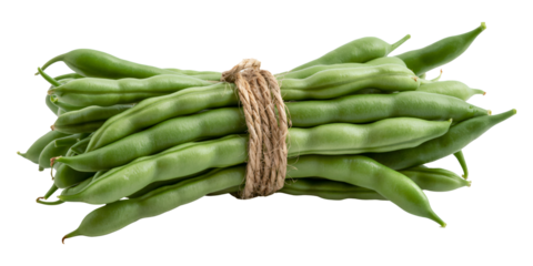 Fresh green beans bundle on a clean surface, Organic string beans tied together with natural twine