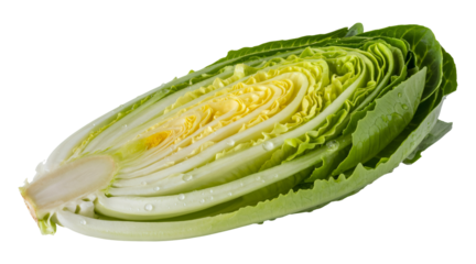 Half of fresh lettuce with crisp green leaves, Cut romaine lettuce showing inner texture
