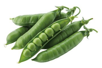 Fresh green peas in open pods, Organic pea pods with bright green peas inside
