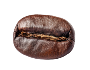 Roasted coffee bean showing aroma and caffeine concept