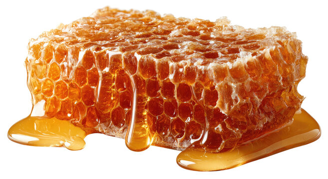 Close-up of a honey comb - Powered by Adobe