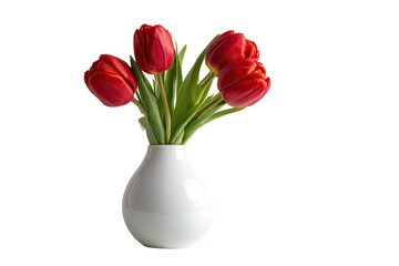 Red tulips in a white vase (2)