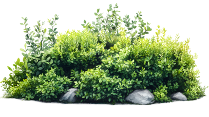 Lush green foliage and rocks forming a small natural mound isolated on transparent background
