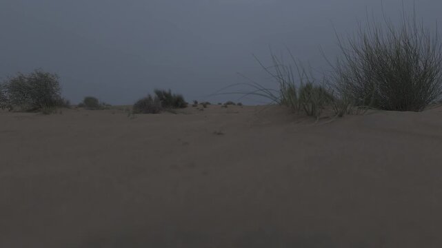 Aerial shot of Khuri Sand Dunes near Jaisalmer, Rajasthan, after sunset, showing desert landscape with wind blowing through green plants like Khejri, Rohida, and Babool under soft twilight light