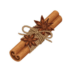 Single Cinnamon Stick Tied with Jute Rope and Star Anise Isolated on White Background