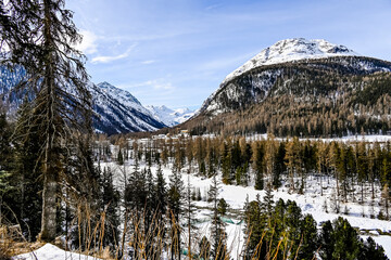 Pontresina Val Roseg Val Bernina