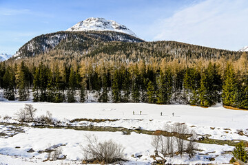 Pontresina, Berninabach, Berninapass, Val Bernina, Winter, Wintersport, Wanderweg, Langlauf, Langlaufloipe, Oberengadin, Graubünden, Alpen, Schweiz