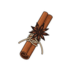 Single Cinnamon Stick Tied with Jute Rope and Star Anise Isolated on White Background
