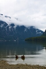 lake and mountains