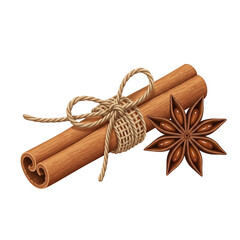 Single Cinnamon Stick Tied with Jute Rope and Star Anise Isolated on White Background