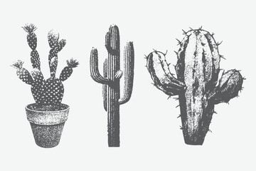 Different cactuses with monochrome vintage photocopy effect, y2k collage design. halftone stipple design elements. Vector drawing for a weird, grunge, punk poster © Lutfar