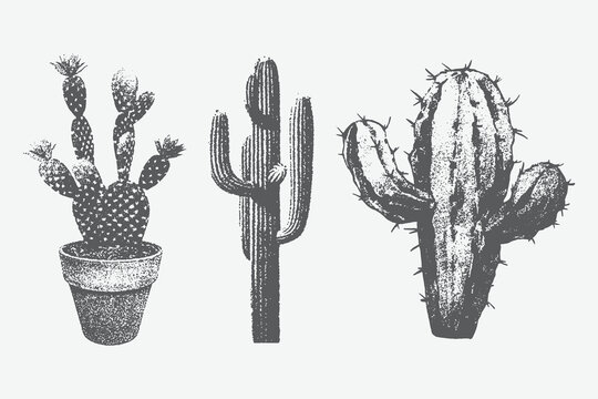 Different cactuses with monochrome vintage photocopy effect, y2k collage design. halftone stipple design elements. Vector drawing for a weird, grunge, punk poster