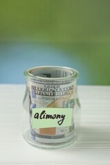 Jar with word Alimony and money on white wooden table against blurred background