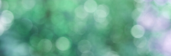 Abstract green bokeh background with soft light circles and blurred texture in various shades.