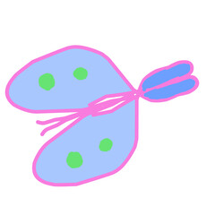 set of colorful butterfly