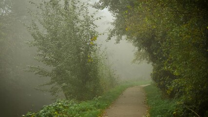 Whispering fog covering mysterious morning trail in forest filled with unseen spirits. Wandering fog flowing through park revealing hidden beauty. Enchanting mist enveloping silent woodland path - Powered by Adobe