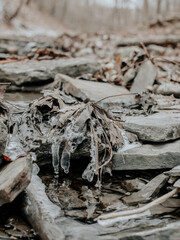 The river glistens under the winter sun, its surface a delicate dance of flowing ice, creating a mesmerising spectacle of nature's artistry.