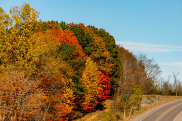 autumn landscape with road