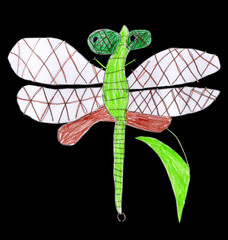 Fairy tale dragonfly sit on reed, hand drawn by colored pencils, isolated on a black background