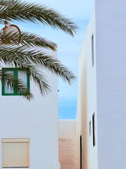 Wei&szlig;es Haus mit Palme auf Lanzarote