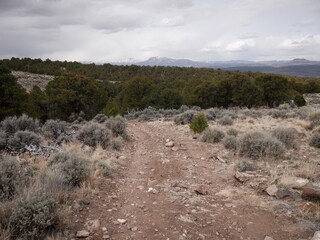 ATV trail in High desert mountain landscape in Panguitch Utah in spring on cloudy day
