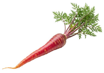 Heirloom purple carrot isolated PNG, vibrant root vegetable with green leaves on transparent...