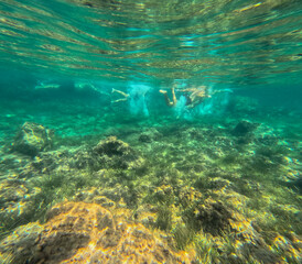Fototapeta premium The new Tabarca island opposite Santa Pola Alicante province Spain the marine reserve underwater view