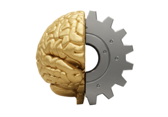 Golden brain and silver gear isolated PNG on transparent background, concept of intelligence and mechanical mind, artificial intelligence