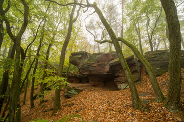 Felsenmeer auf der Kalmit mit Sandsteinfelsen im Nebel im herbstlichen Pfälzerwald