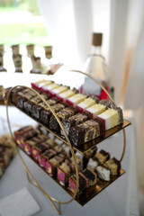 Cakes, cupcakes and pastries on a candy bar. Sweet table.