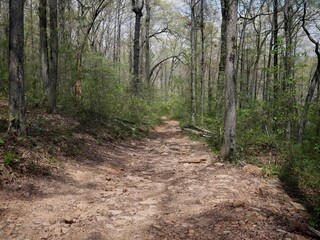 Downhill ATV trail in Ozark National Forest in Moccasin Gap Recreation Area in spring