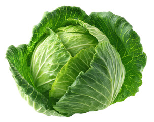 Fototapeta premium Close-up of a fresh green head of cabbage (1)