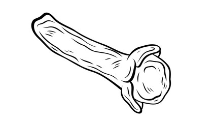 Monochrome botanical spicy dry clove spice. Graphic hand drawn ink black and white vector. Mulled wine component. Good for eco-style crafting, cooking, spa, medicine, garden, beauty, decoration