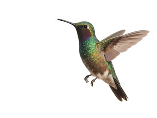 A hummingbird in mid-flight with vivid green and brown feathers, wings spread wide, showcasing its beautiful plumage.