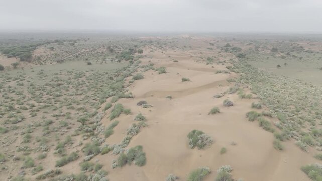 Aerial view of Khuri Sand Dunes, Jaisalmer, Rajasthan, on a monsoon morning after rain, showing moist dunes dotted with green desert vegetation like Khejri, Rohida, Babool, and Ker trees