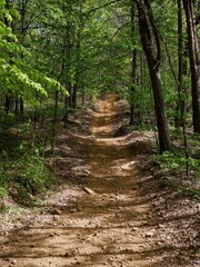 ORV trail in Appalachian forest in northern Georgia in Houston Valley ORV area