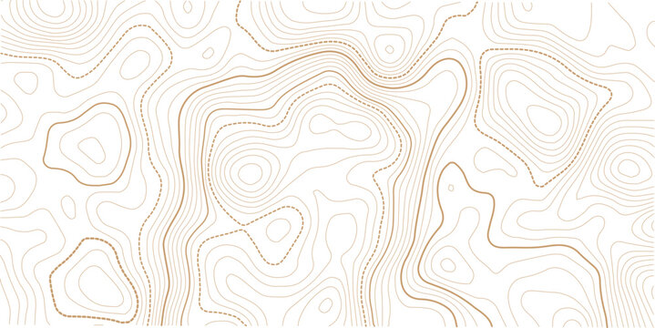 Black and white lines seamless Topographic map patterns. Vintage outdoors style. The stylized height of the topographic map contour in lines and contours isolated on transparent.