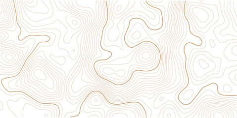 Black and white topographic map background. Topographic map lines. Monochrome topographic terrain lines with space for text. Cartography terrain contour lines backdrop.