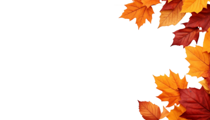 colorful fall leaves layered naturally, white background