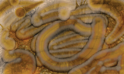 Abstract hand drawn colorful pastel watercolor background